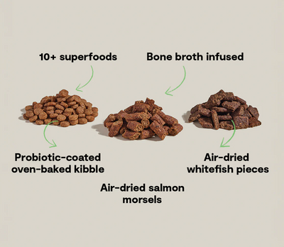 Open Farm Epic Blend Salmon and Superfood, Dry Dog Food