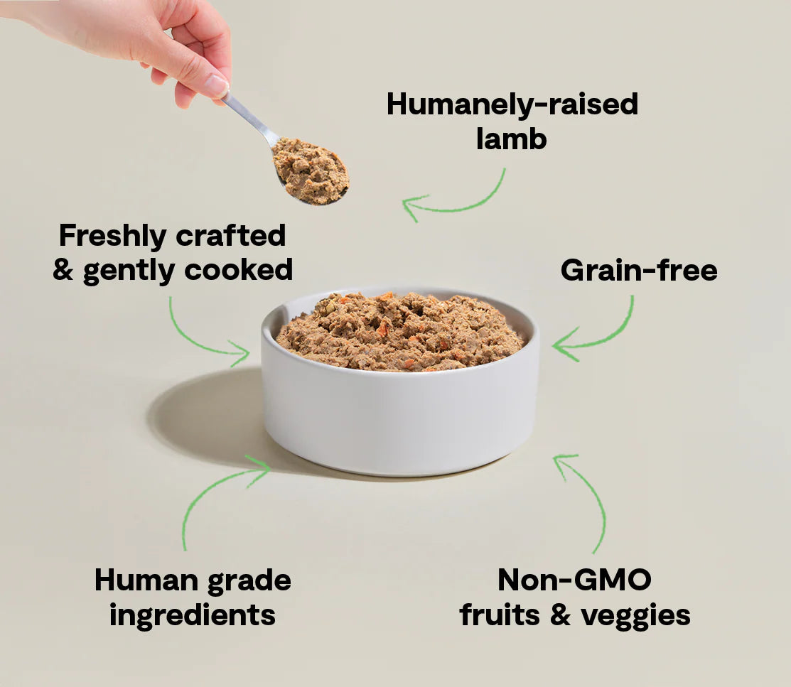 Open Farm Lamb, Frozen Gently Cooked Dog Food