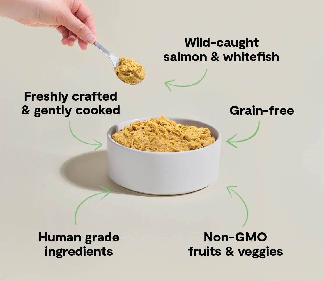Open Farm Wild-Caught Fish, Frozen Gently Cooked Dog Food