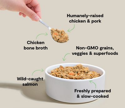 Open Farm Puppy Grain-Free, Frozen Gently Cooked Dog Food