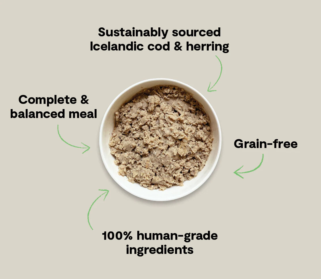 Open Farm Icelandic Cod & Herring Wet Food For Dogs, Wet Dog Food, 7-oz, Case Of 24