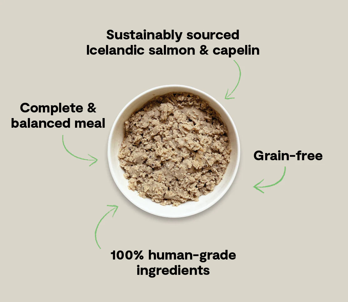 Open Farm Icelandic Salmon & Capelin Wet Food For Dogs, Wet Dog Food, 7-oz, Case Of 24