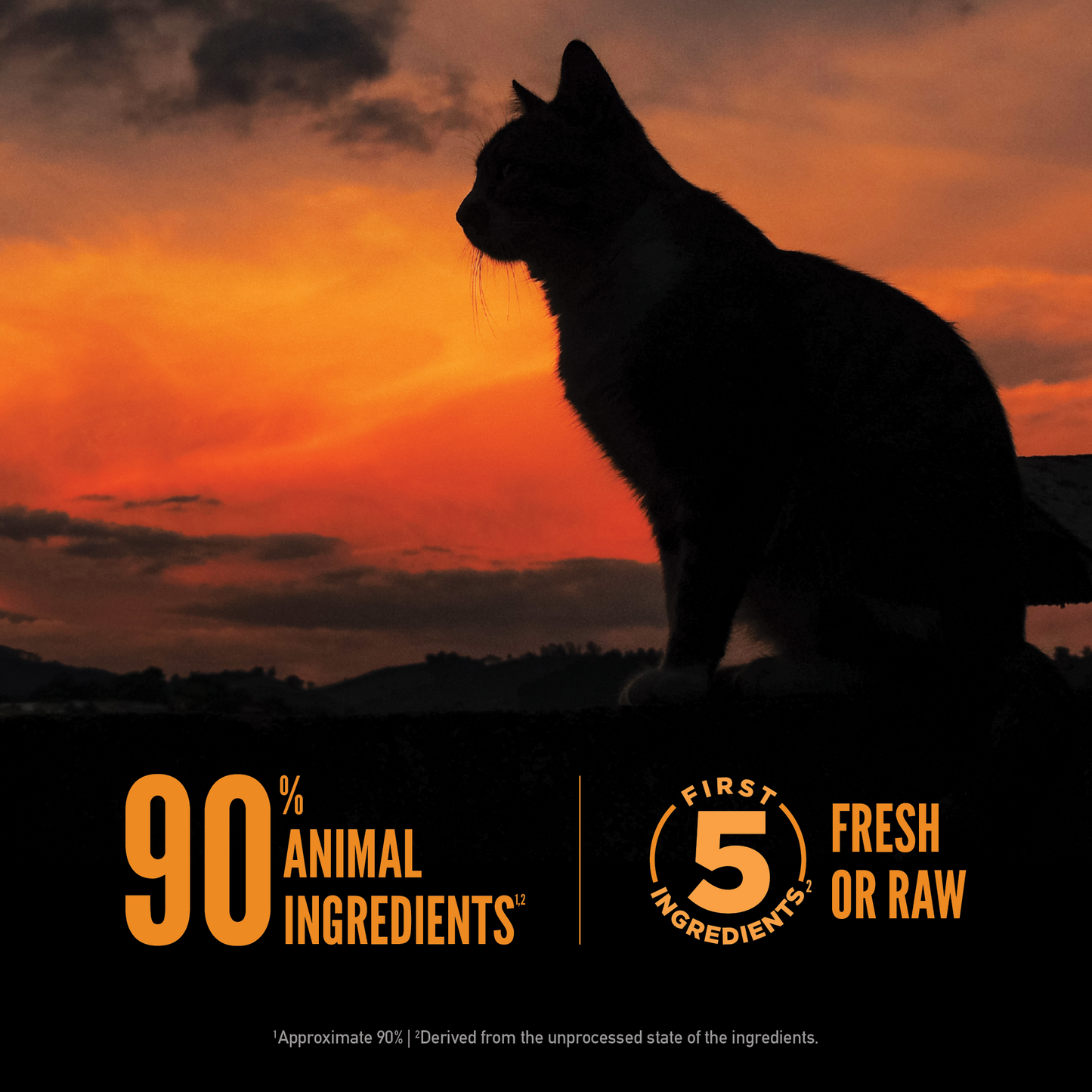 ORIJEN® Wild Reserve™, Free-Run Chicken & Wild-Caught Fish Recipe, Dry Cat Food