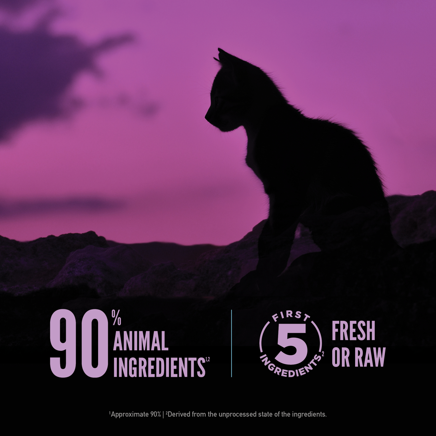 ORIJEN® Wild Reserve™, Kitten Recipe, Dry Cat Food, 3.5-lb Bag