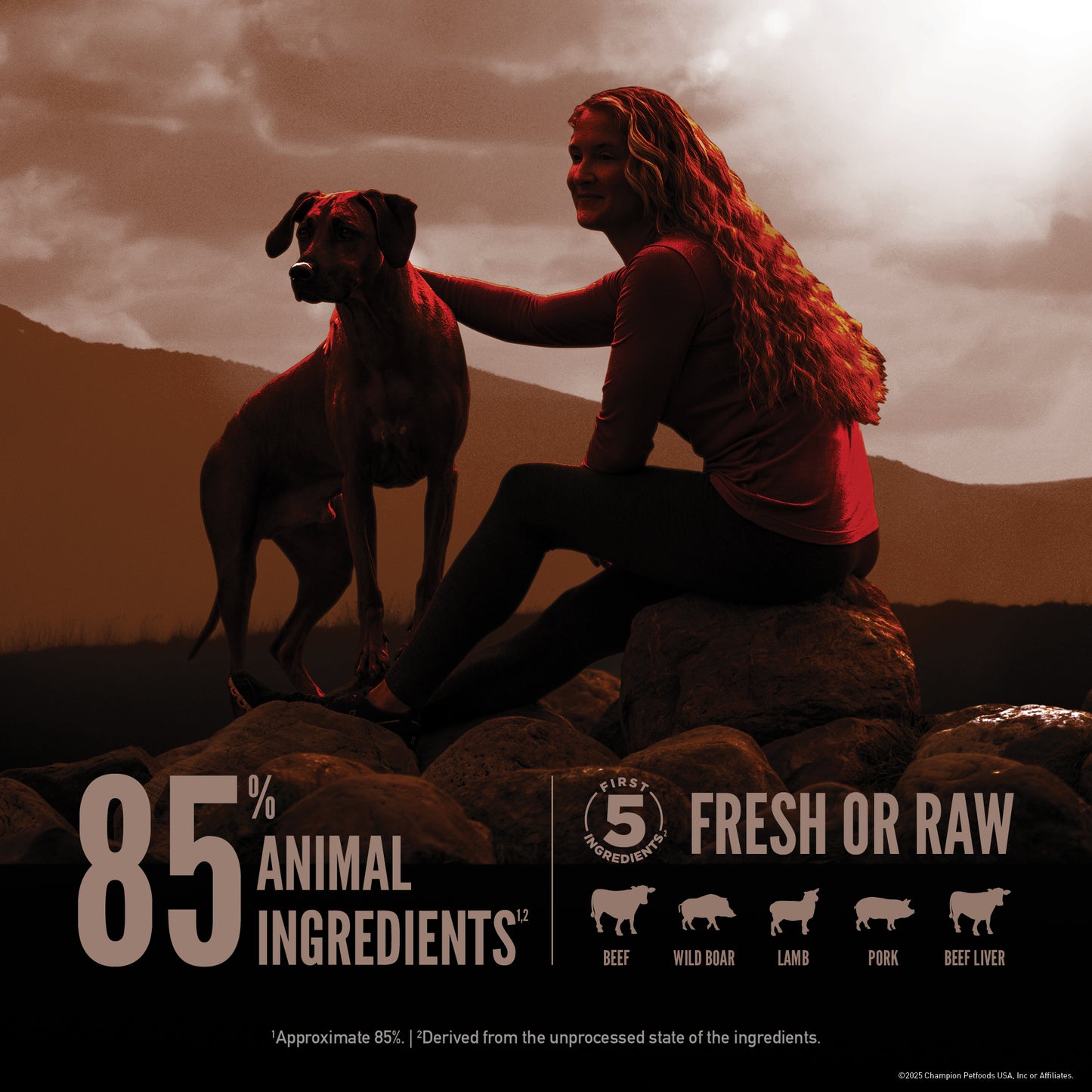 Orijen Wild Reserve Farm Raised Beef & Lamb Recipe, Dry Dog Food