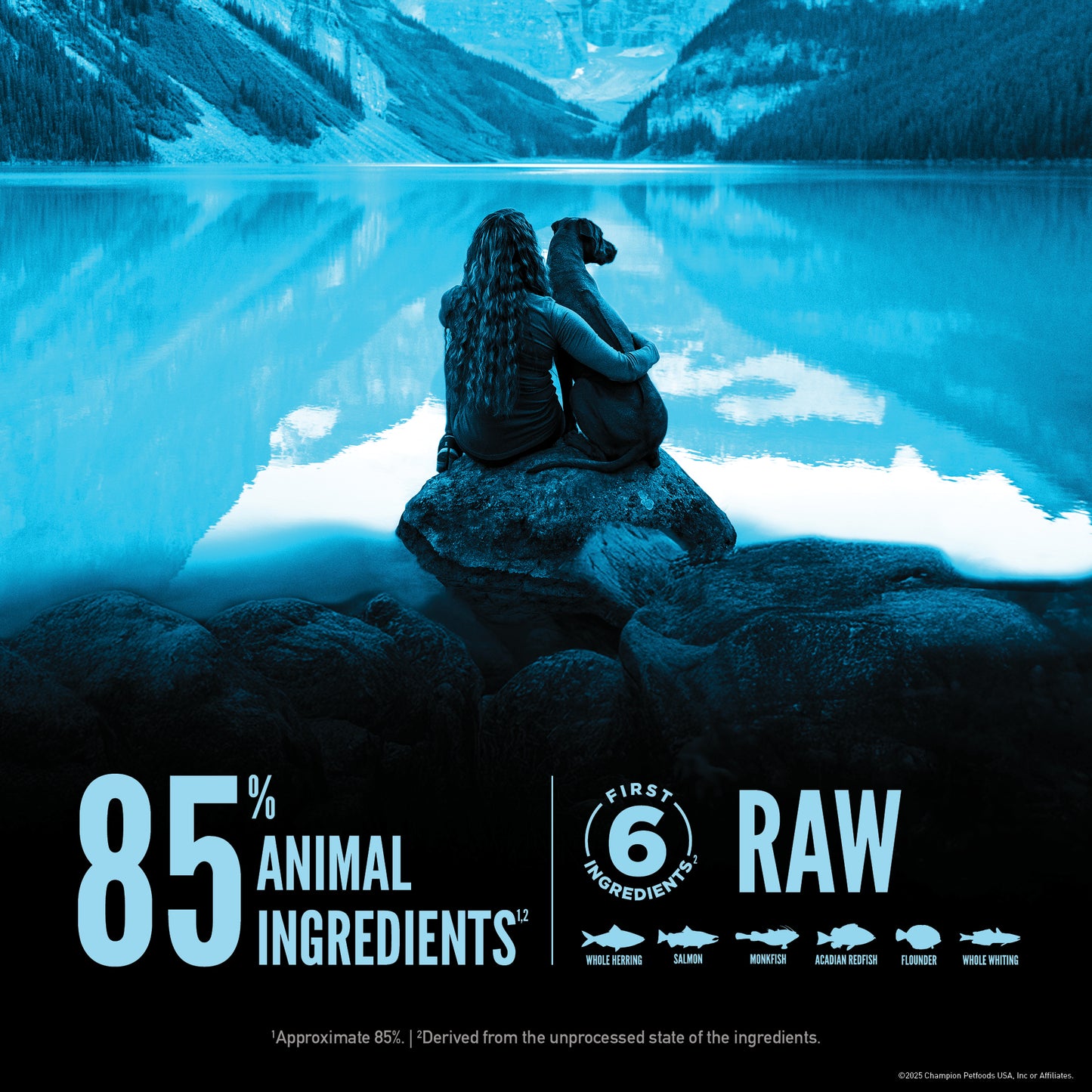 Orijen Wild Reserve Wild Caught Fish Recipe, Dry Dog Food