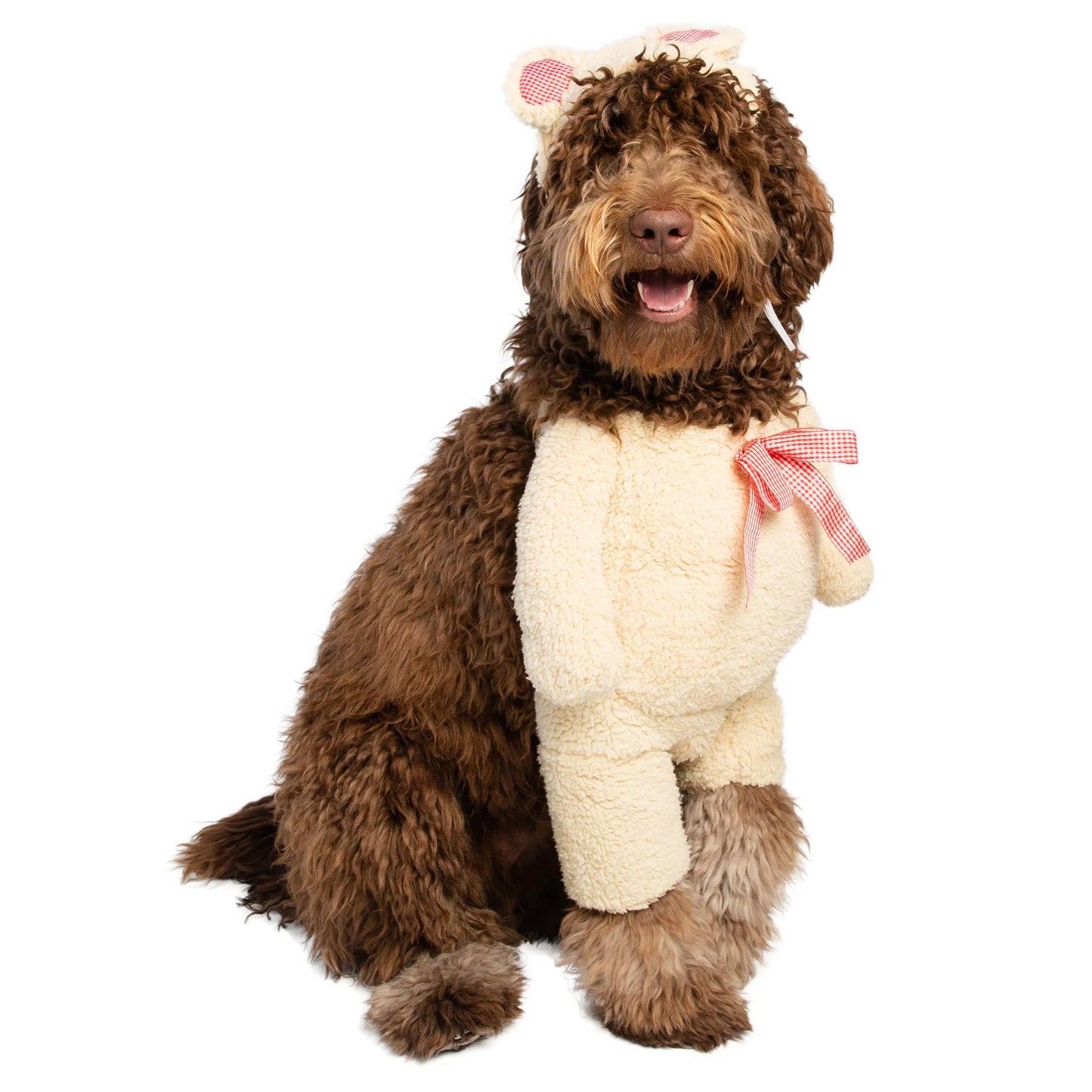 Pet Krewe Walking Teddy Bear, Dog Costume