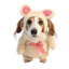 Pet Krewe Walking Teddy Bear, Dog Costume