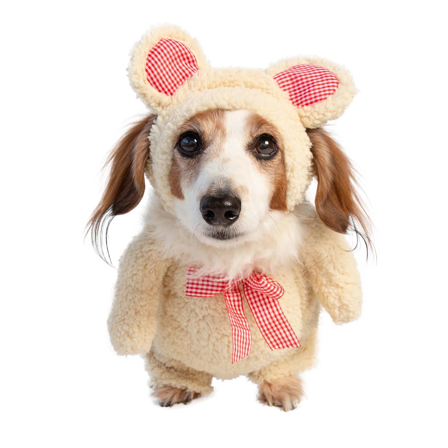 Pet Krewe Walking Teddy Bear, Dog Costume