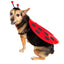 Pet Krewe Ladybug, Dog Costume