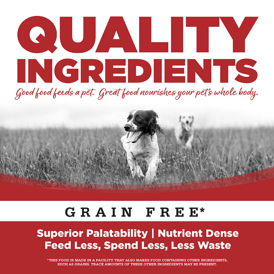 PureVita™ Beef Entrée Wet Dog Food, 12.3-oz Case of 12