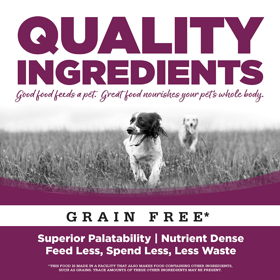PureVita™ Pork Entrée Wet Dog Food, 12.3-oz Case of 12