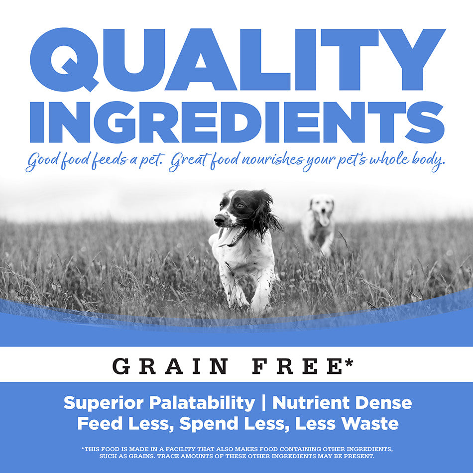PureVita™ Turkey Entrée Wet Dog Food, 12.3-oz Case of 12