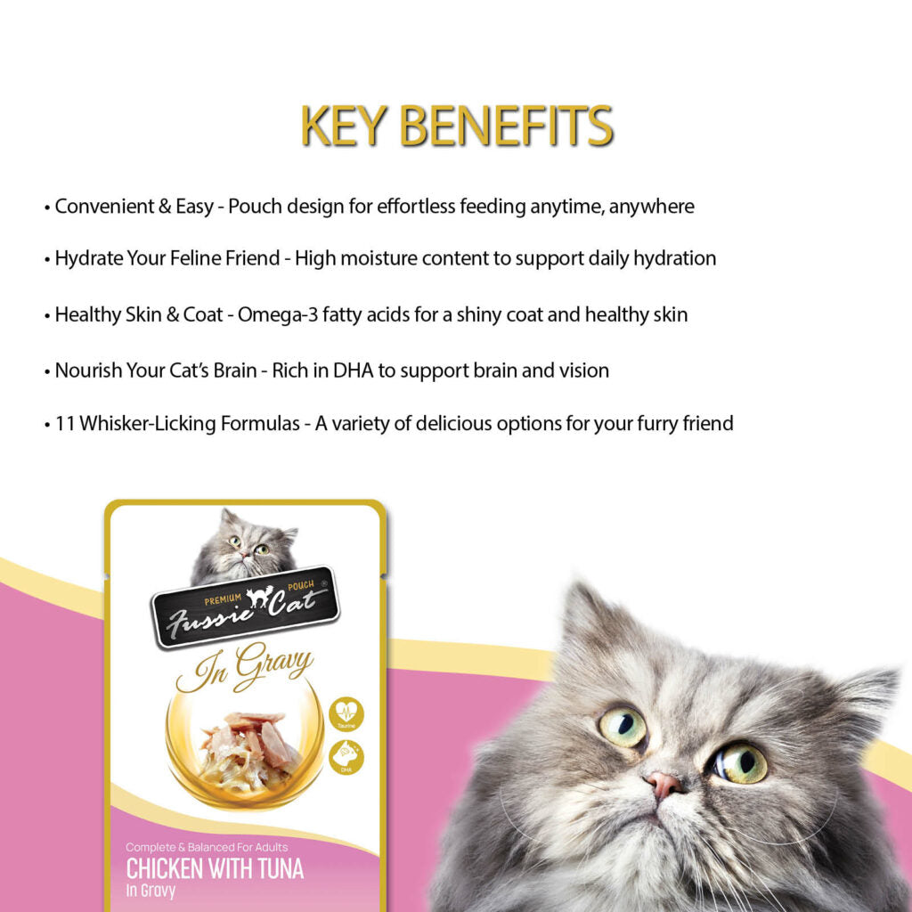 Wet cat food 2024 with omega 3