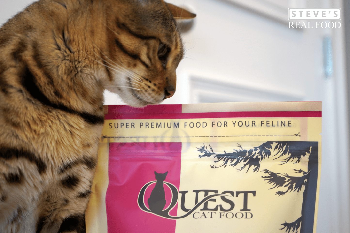 Steve's Quest Beef Nuggets 10-oz, Freeze-Dried Cat Food