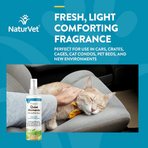 NaturVet Quiet Moments Calming Room 8-oz Spray For Cats