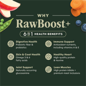 Instinct Raw Boost Salmon Dry Dog Food