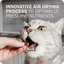 Redbarn Air Dried Powerfood Chicken Recipe For Cats