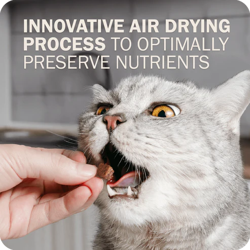 Redbarn Air Dried Powerfood Chicken Recipe For Cats