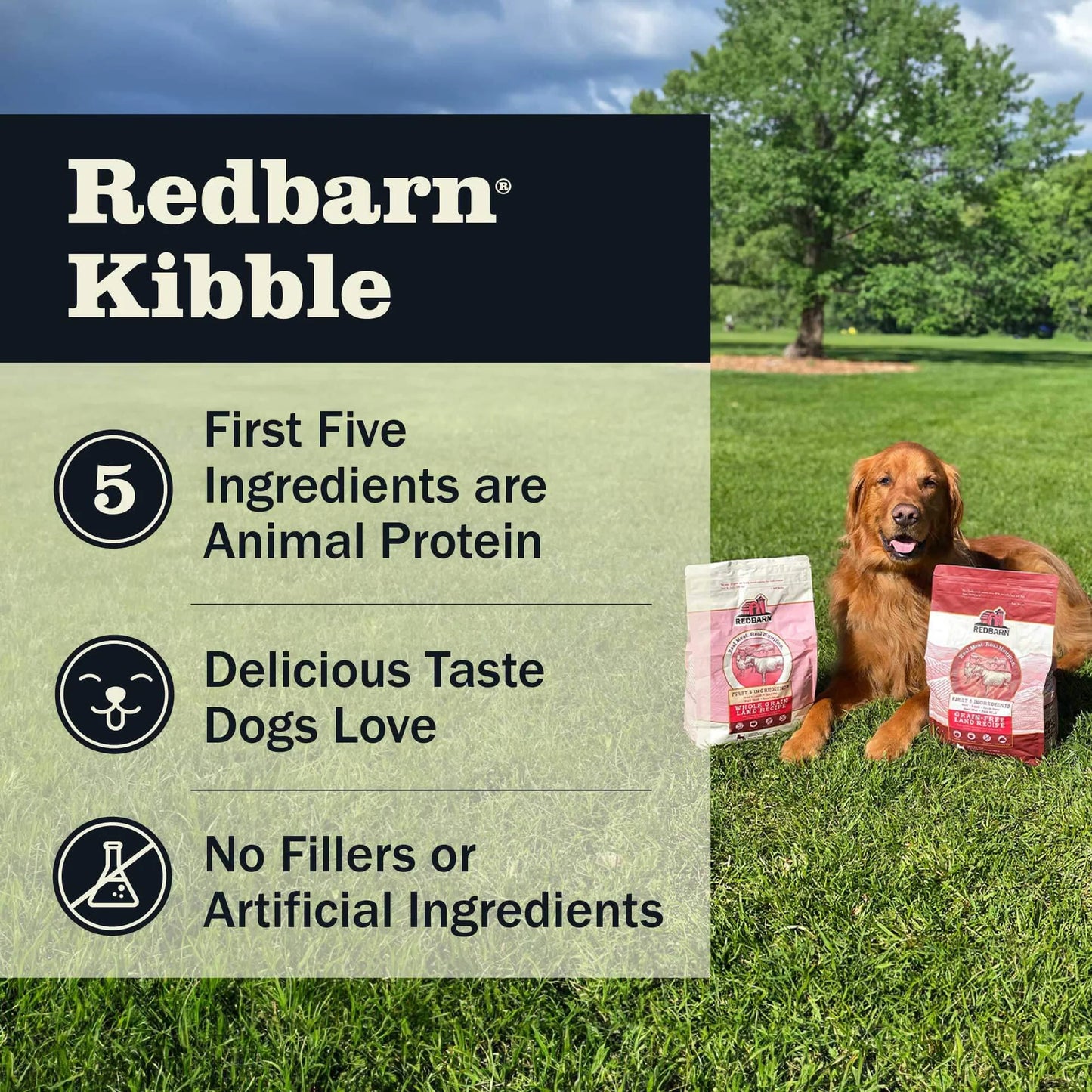 Redbarn Grain Free Land Recipe, Dry Dog Food