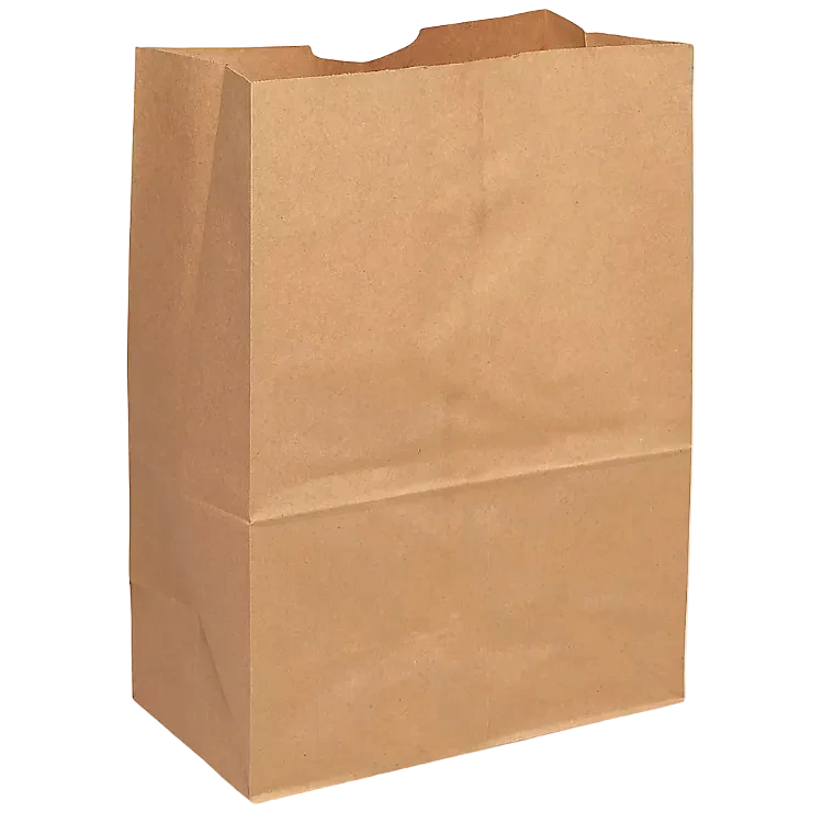 Eco-friendly reusable paper bag for shopping and everyday use