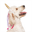 Midlee Unicorn Horn Headband, Dog Costume