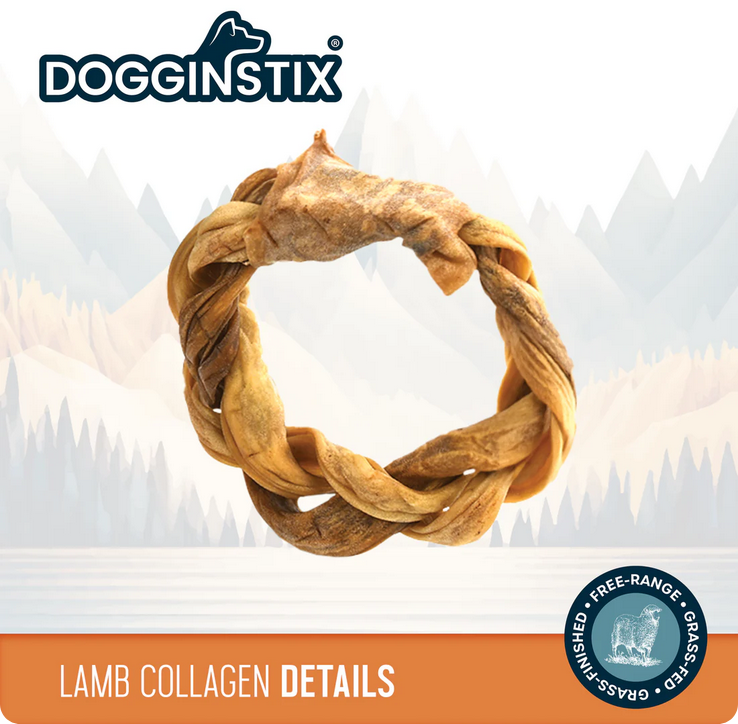 Dogginstix Lamb Collagen Braided Ring, Dog Chew