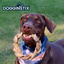 Dogginstix Lamb Collagen Braided Ring, Dog Chew