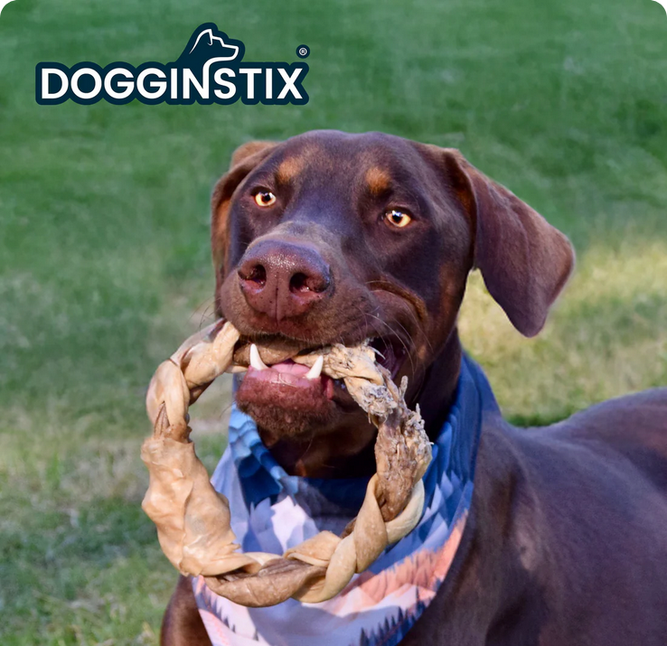Dogginstix Lamb Collagen Braided Ring, Dog Chew