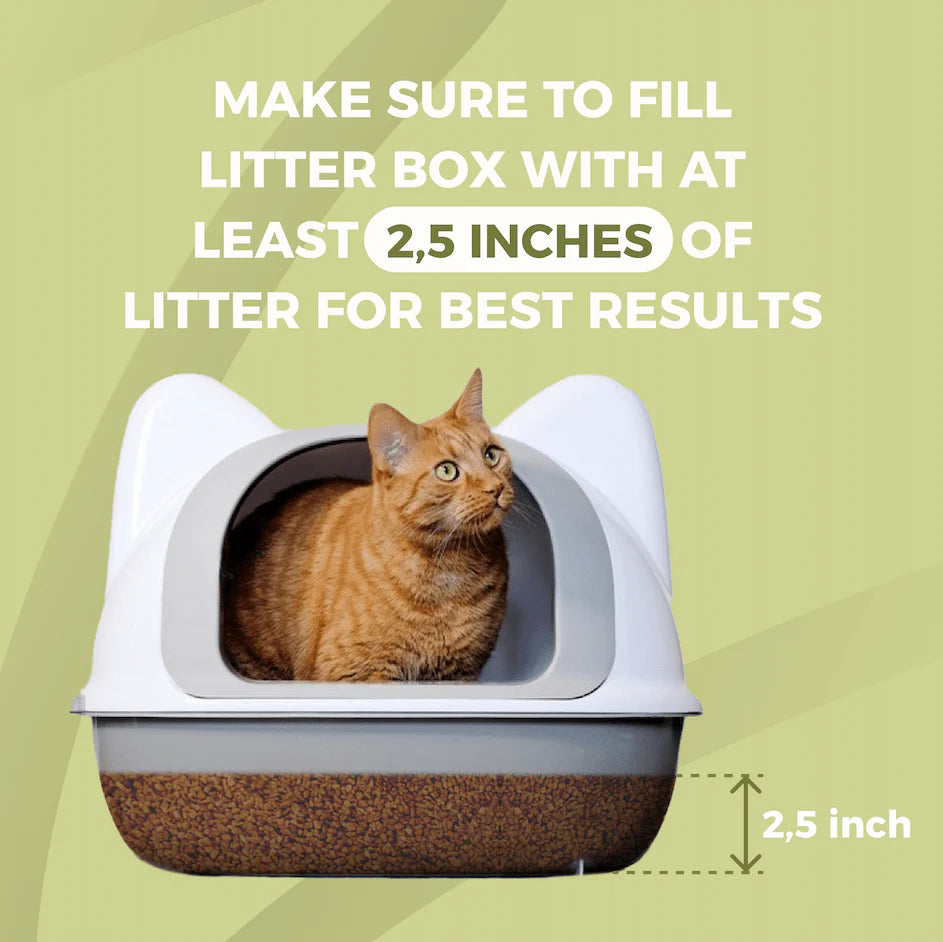 Paco & Pepper Olive Pit Cat Litter, 11.5-lb Bag