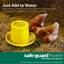 Safe-Guard Aquasol Dewormer for Chickens, 3 mL