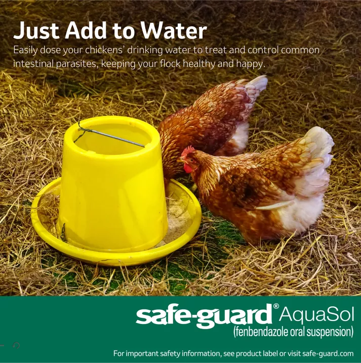 Safe-Guard Aquasol Dewormer for Chickens, 3 mL