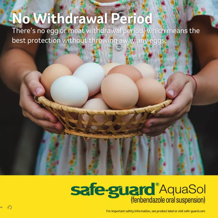 Safe-Guard Aquasol Dewormer for Chickens, 3 mL