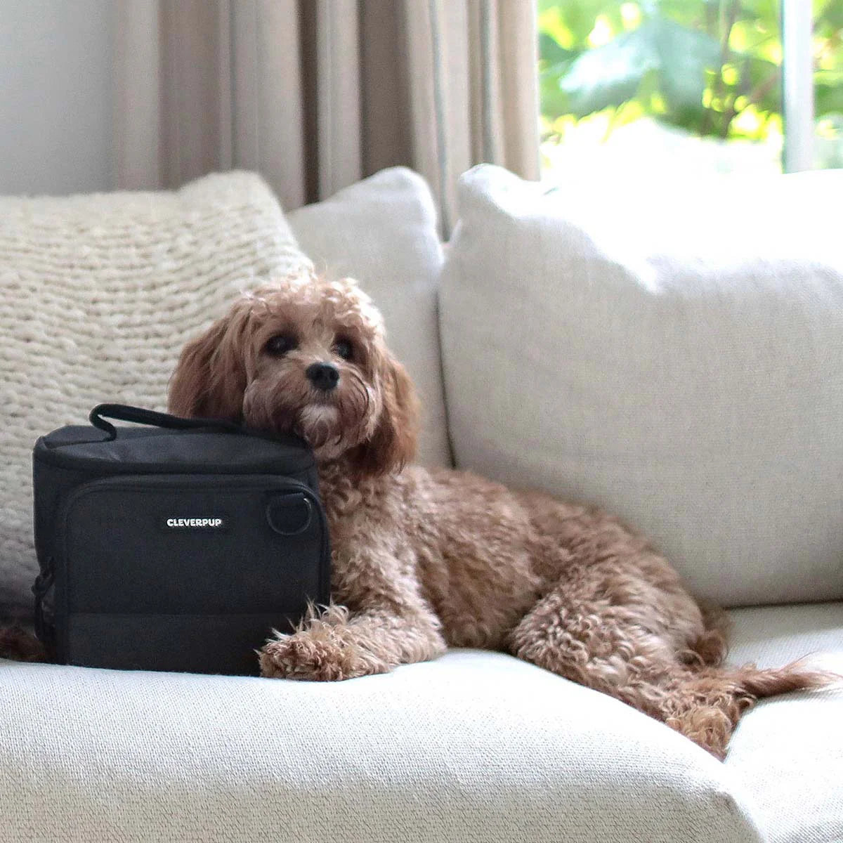 Cleverpup Bistro Box Dog Food Travel Kit