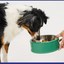 My Perfect Pet Grain-Free Sweethearts Pork 4-lb, Gently Cooked Dog Food