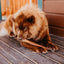 Natural Farm 12in Odor Free Bully Stick, Dog Chews, 10-Count