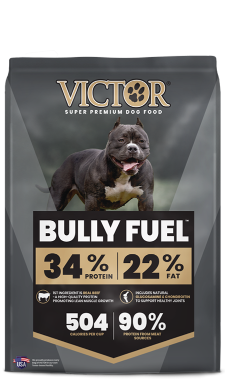 Victor Bully Fuel Dry Dog Food
