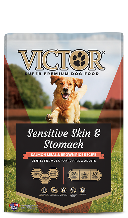 Victor Sensitive Skin & Stomach Salmon Meal & Brown Rice Recipe, Dry Dog Food
