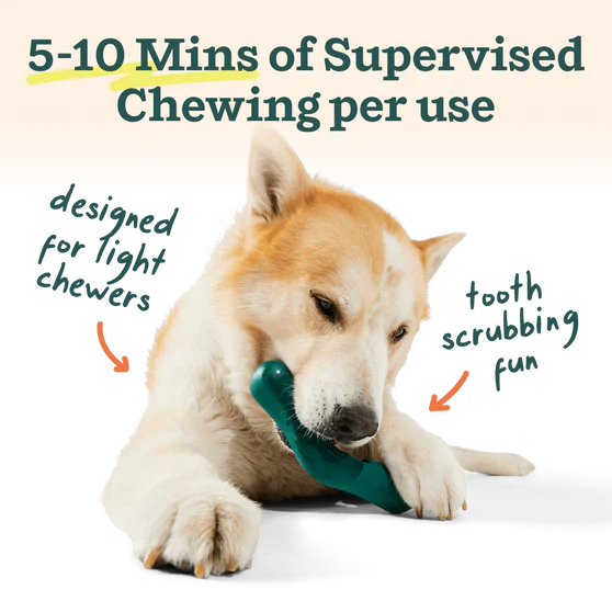 Woof Bite n' Brush Dog Dental Toy