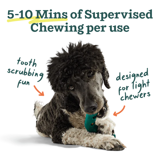 Replacement brush refills for Woof Bite dog toothbrush, 18-count pack