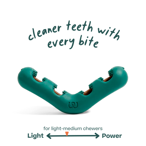 Durable dog chew toy by Woof Bite n' Brush for dental care