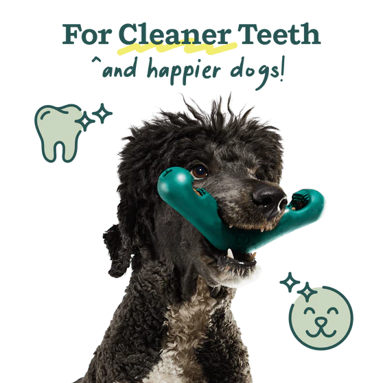 Woof Bite n' Brush Dog Dental Toy