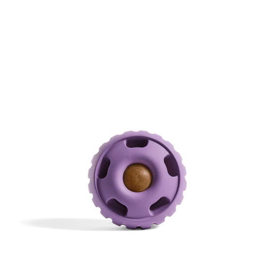 Woof Pupsicle Interactive Dog Toy