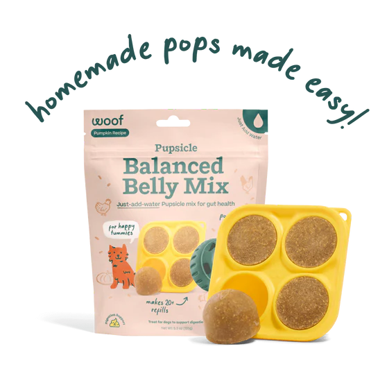 Woof Pupsicle Mix - Balanced Belly Recipe, 5.5-oz bag