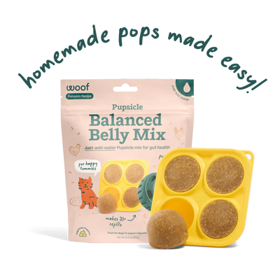 Woof Pupsicle Mix - Balanced Belly Recipe, 5.5-oz bag
