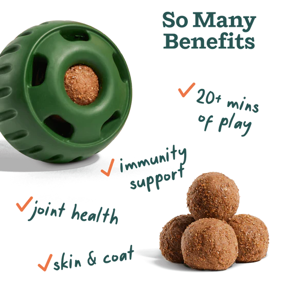 Woof Pupsicle Pops - All-in-1 Wellness Recipe
