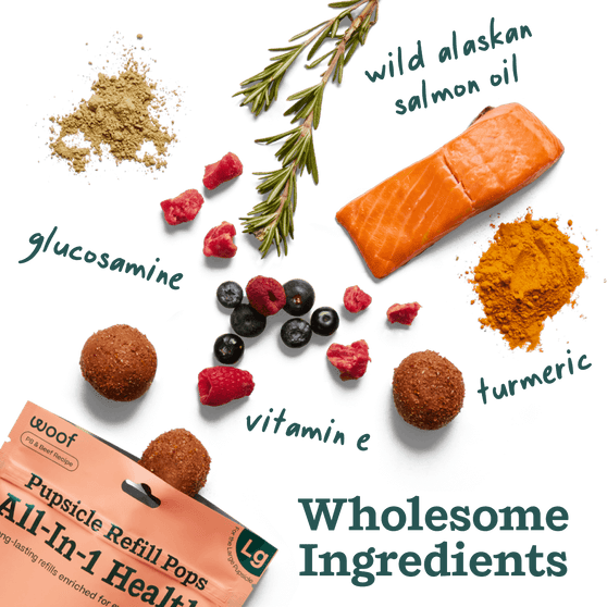 Woof Pupsicle Pops - All-in-1 Wellness Recipe