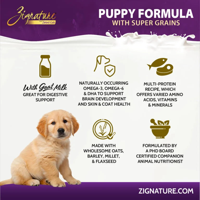 Zignature Select Cuts Puppy Recipe, Dry Dog Food