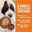 Instinct Healthy Cravings Real Chicken Recipe 3-oz, Dog Food Topper