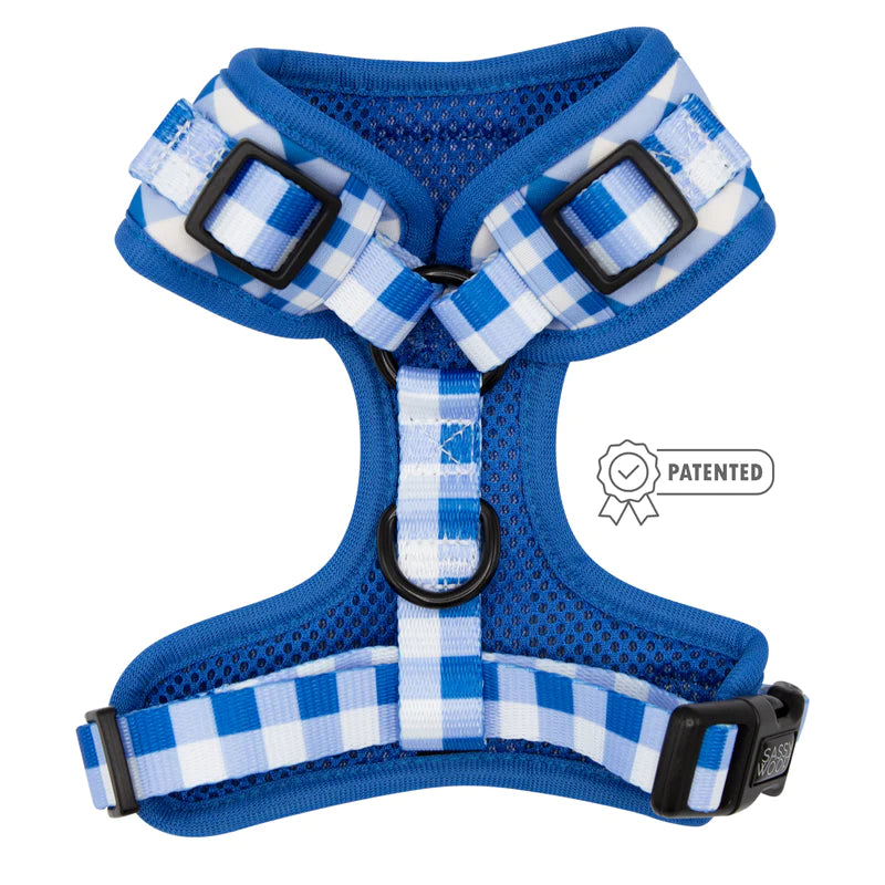 Sassy Woof Adjustable Wizard Of Paws, Dog Harness